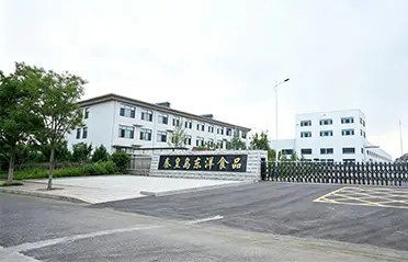 Con una inversión de 250 millones de RMB y una fábrica de 40.000㎡, Dongyang Foods ha construido una base sólida para la producción de fideos instantáneos de alta calidad.