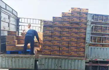 ¿Cuántos puntos de control debe pasar un panqueque de fideos Mala Tang (olla picante) antes de ser cargado en un camión en Shenyang?