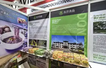 ¿Busca obtener fideos no fritos en Malasia? Exhibición de alimentos de Qinhuangdao Dongyang en la Exposición Internacional Halal ¿Busca obtener fideos no fritos en Malasia? Exhibición de alimentos de Qinhuangdao Dongyang en la Exposición Internacional Halal